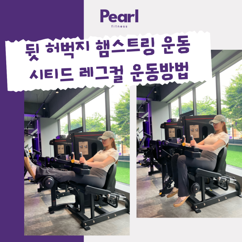 펄핏스튜디오 이미지