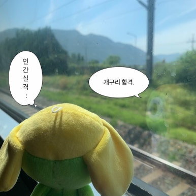 하이하이 이미지
