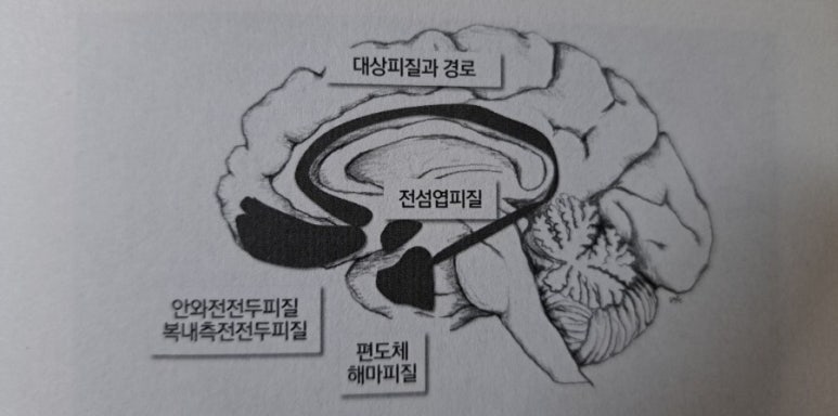도대상회 이미지