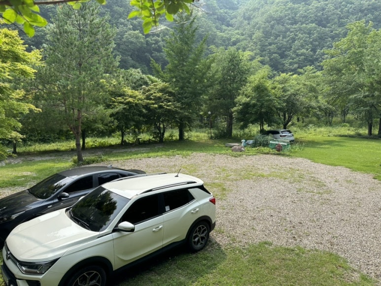 양양계곡꿈꾸는숲 이미지