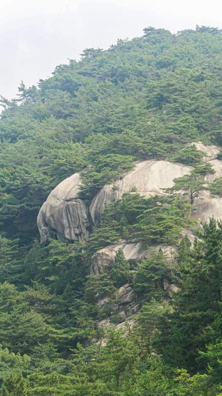 감나무골 편의점 이미지