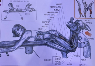 펄핏스튜디오 이미지