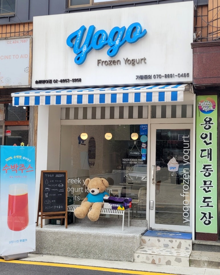 요고프로즌요거트송파 이미지