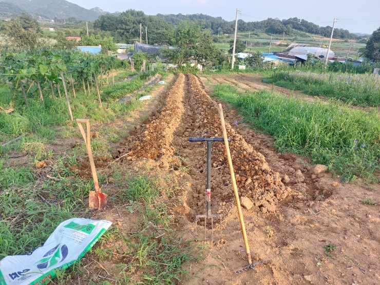 동일퇴비 이미지