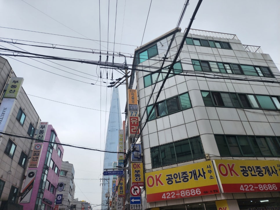 안심직업소개소 이미지