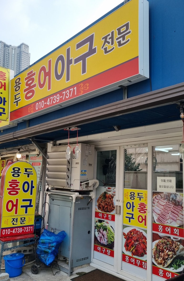 용두홍어 이미지