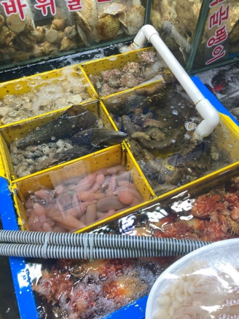 태평양수산 이미지