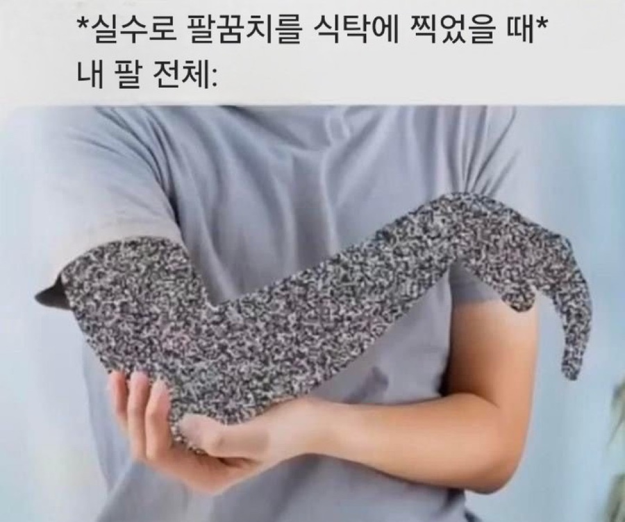 금마 이미지