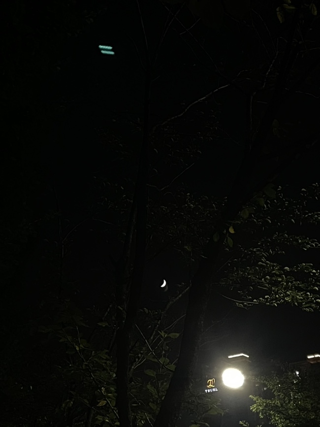 자하 이미지