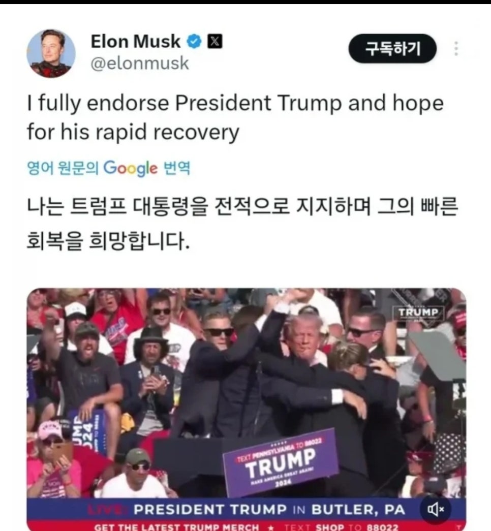 신이1981 이미지