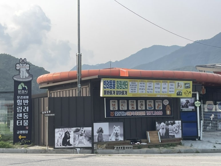 젠틀펫 이미지
