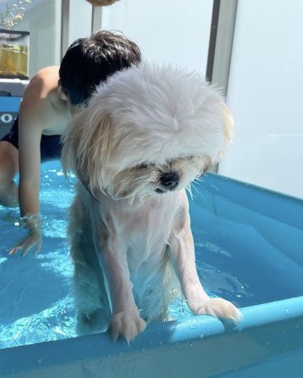 인디레인주 이미지