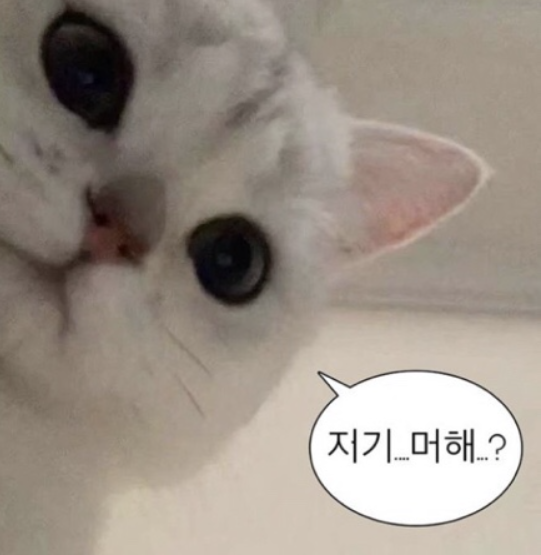사과밭스테이 이미지