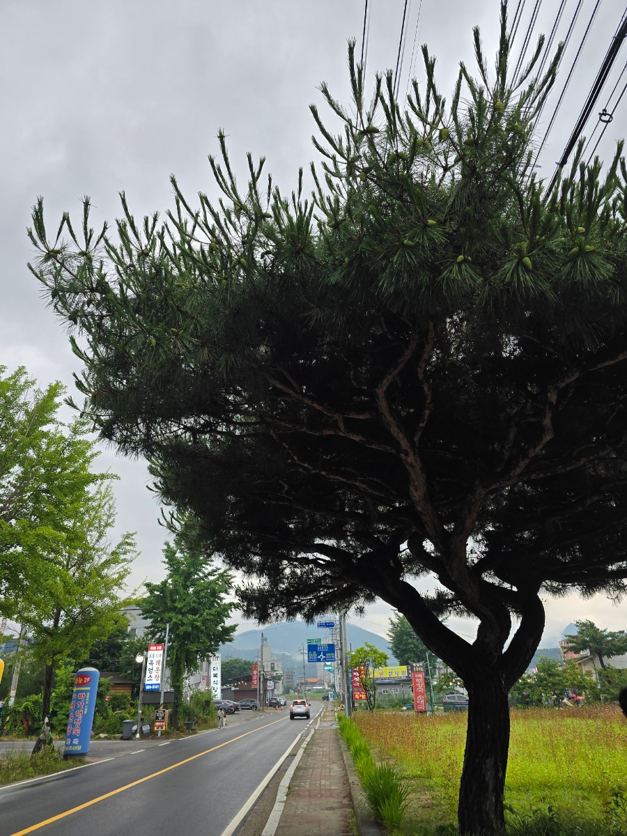탐선계곡 유원지 이미지