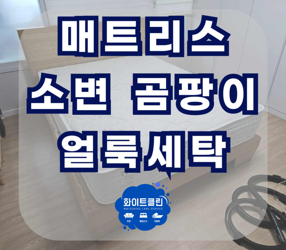 쇼파매트리스카페트청소화이트클린 이미지