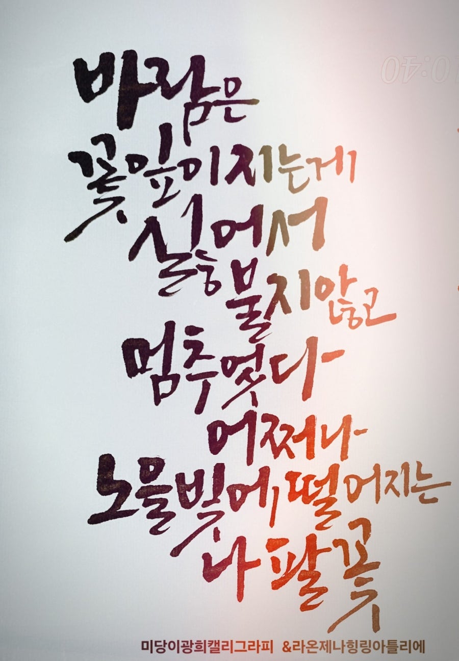 광희에세이 이미지
