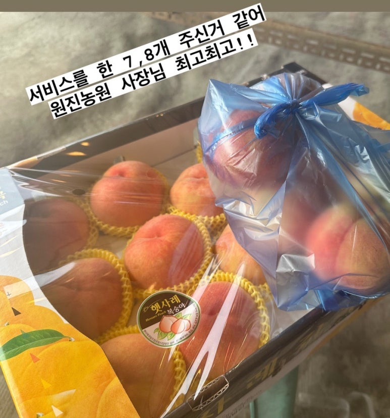 원진농원 이미지