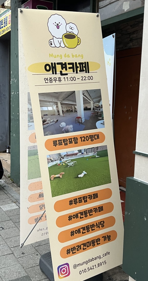 멍다방 이미지