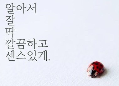 부부여행사 이미지