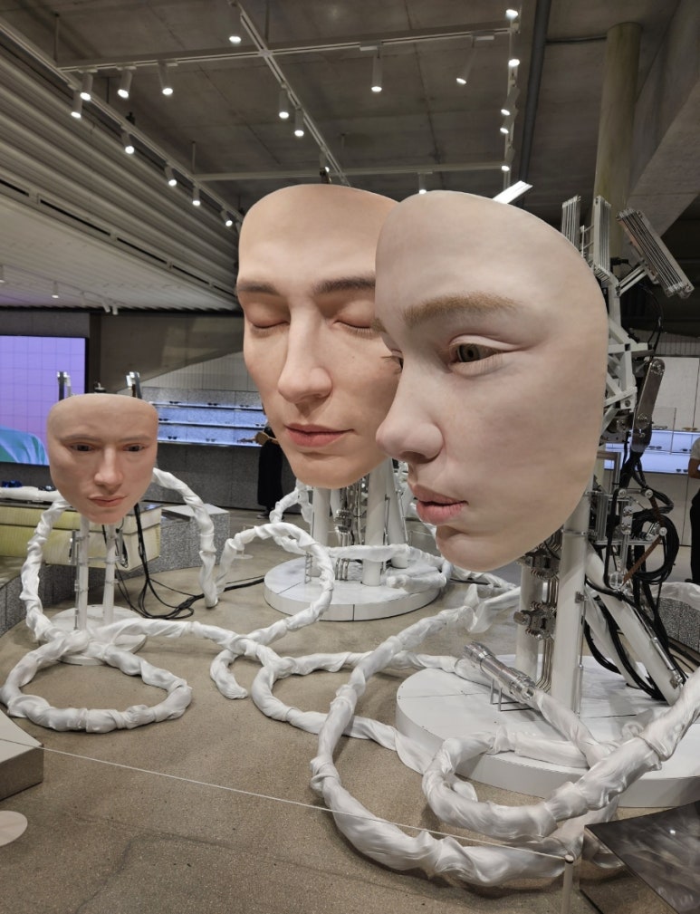 빠흐동 이미지