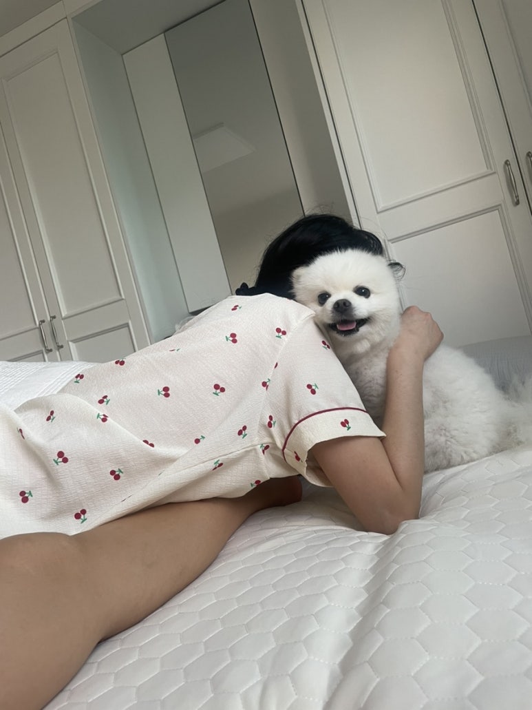 오씨오씨 이미지