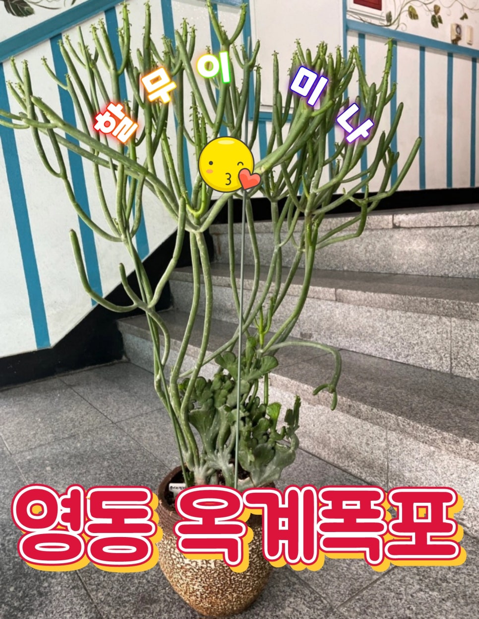 폭포세차 이미지