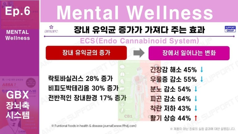 브레인코칭연구소 이미지