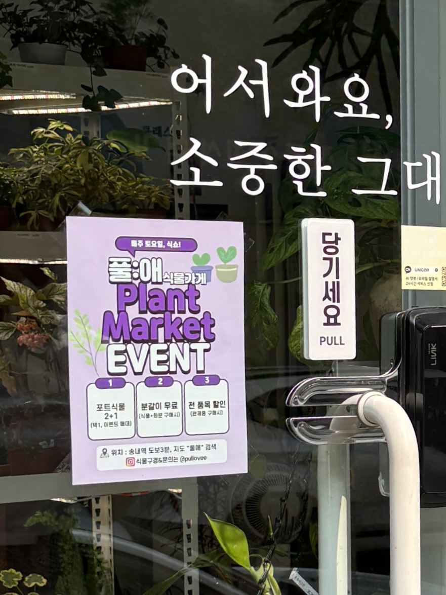 풀애 이미지