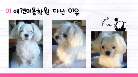 유키미용학원 이미지
