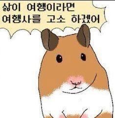 체크인 여행사 이미지