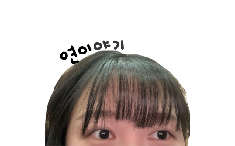 엠에스렌트 이미지