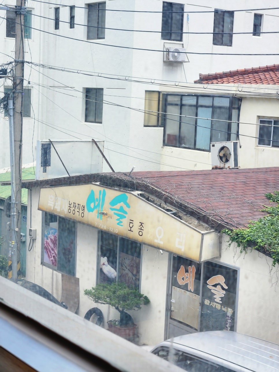 장보리마트 이미지