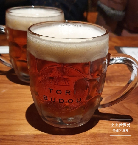 토리(Tori) 이미지