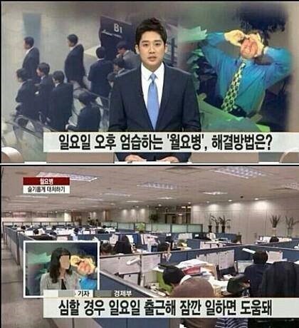 쥬니파스타 이미지