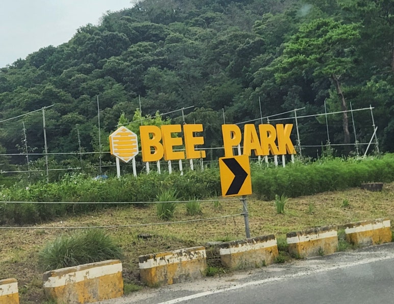 카페꿀 이미지