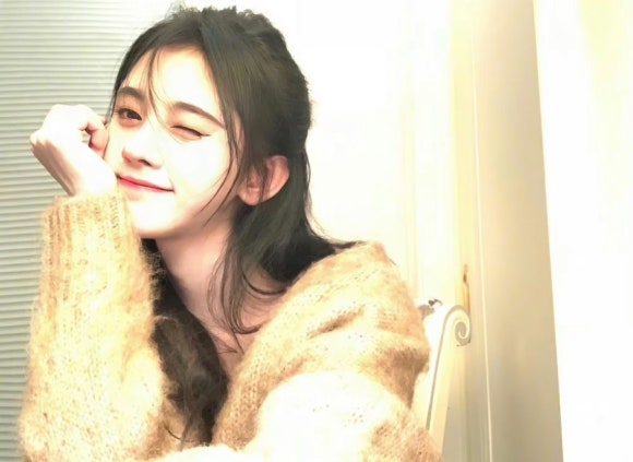 키쿠 이미지