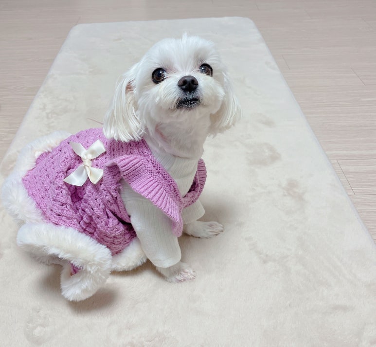 꽁이옷장 이미지
