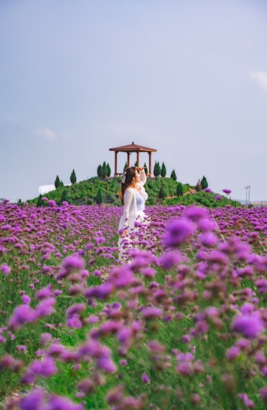 찬호팜 이미지