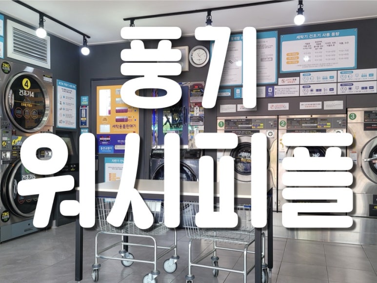 워시피플셀프빨래방영주 이미지