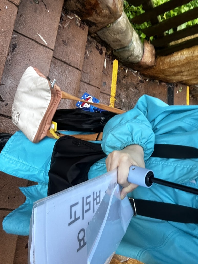 백합의상실 이미지
