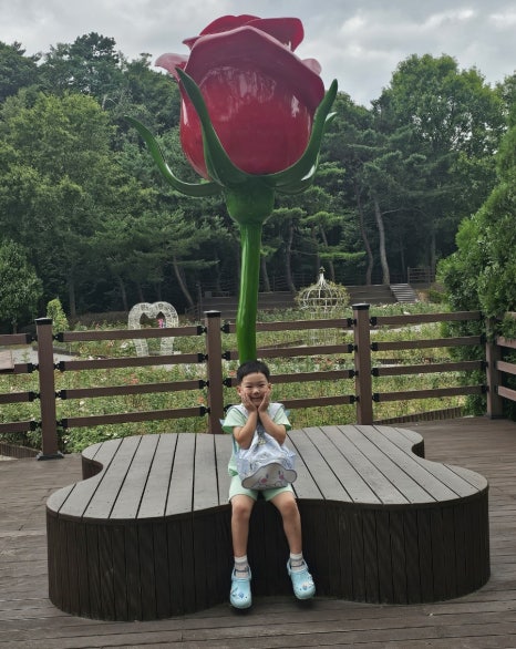 (주)화이트리에 이미지