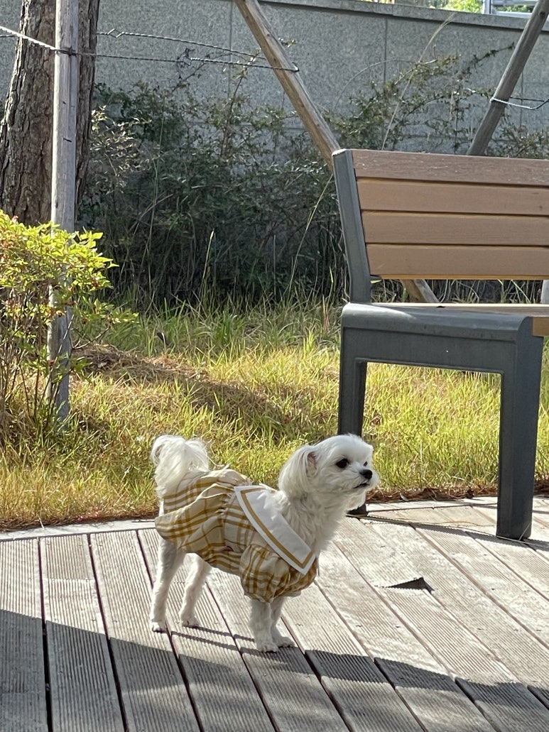 꽁이옷장 이미지