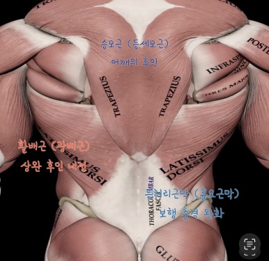 메타리프트 이미지