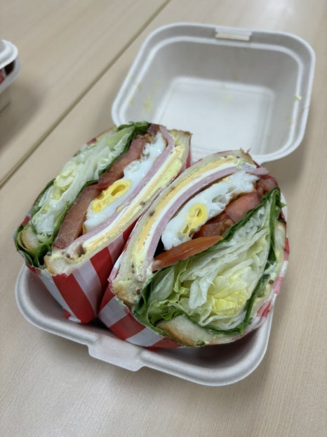 코탈리아 이미지