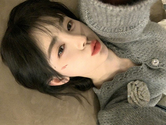 키쿠 이미지