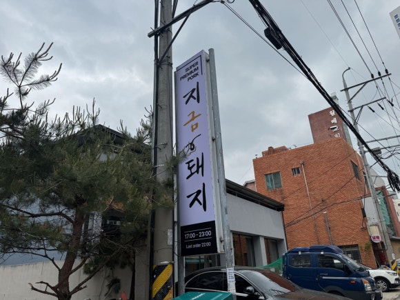 지금,돼지 이미지