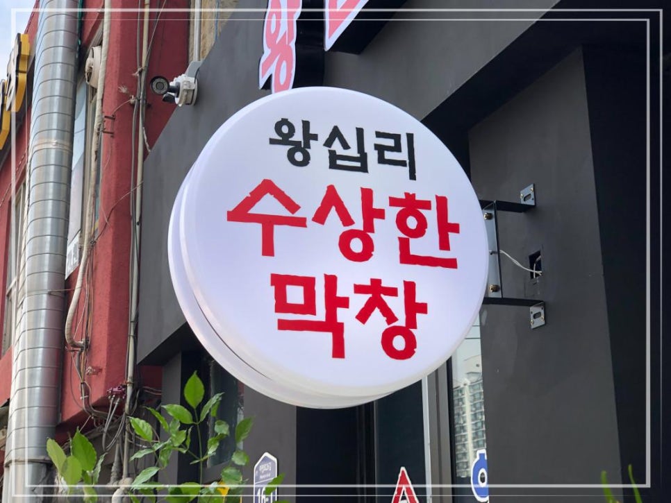 수상한막창도선 이미지