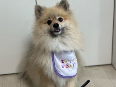 더쿠마 이미지