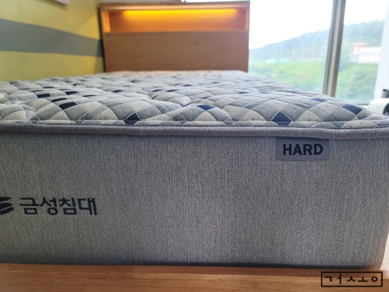 에버그린존 이미지