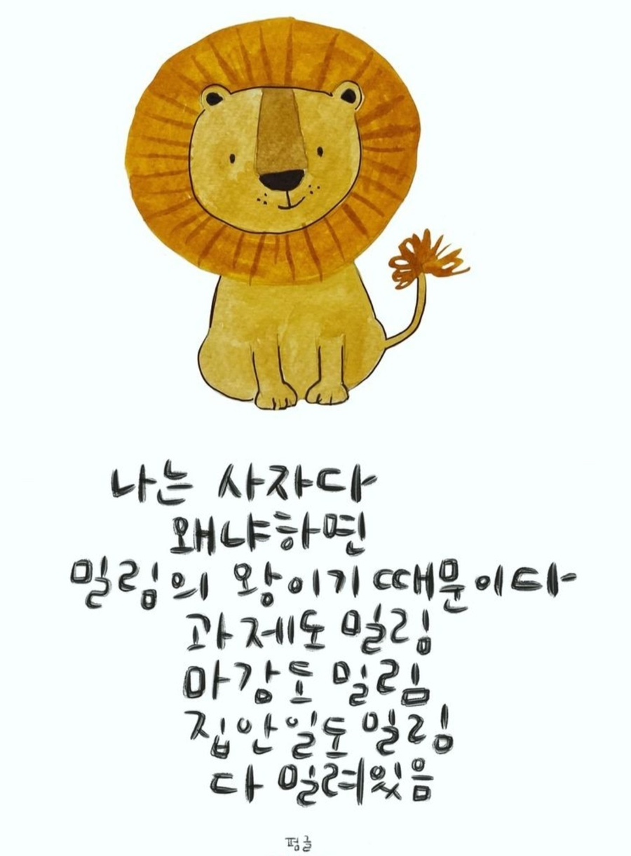 다밀림 이미지